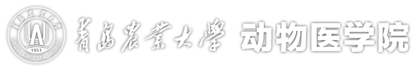 伟德国际bv1946