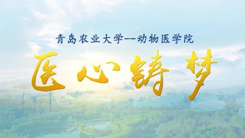 伟德国际bv1946宣传片