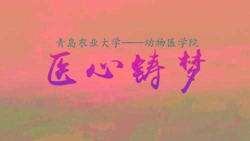 医心铸梦--2018年伟德国际bv1946教学科研宣传片